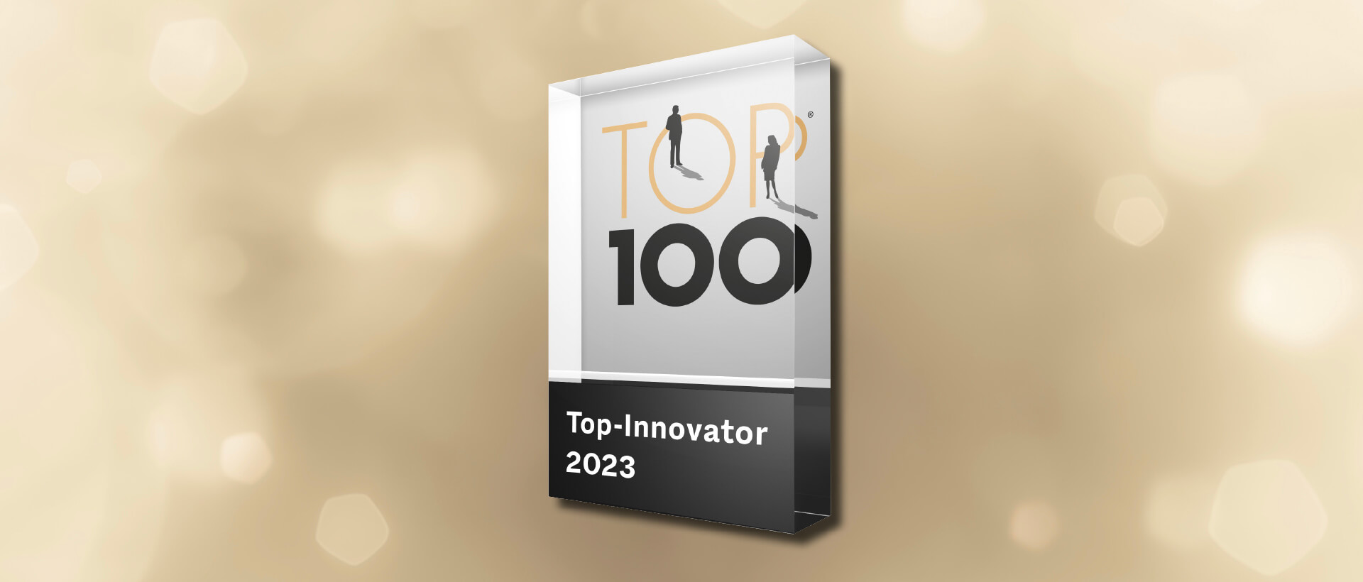 Top Innovator Auszeichnung 2023