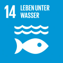 14 - Leben unter Wasser