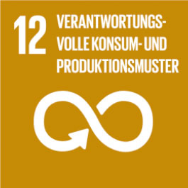 12 - Verantwortungsvolle Konsum- und Produktionsmuster