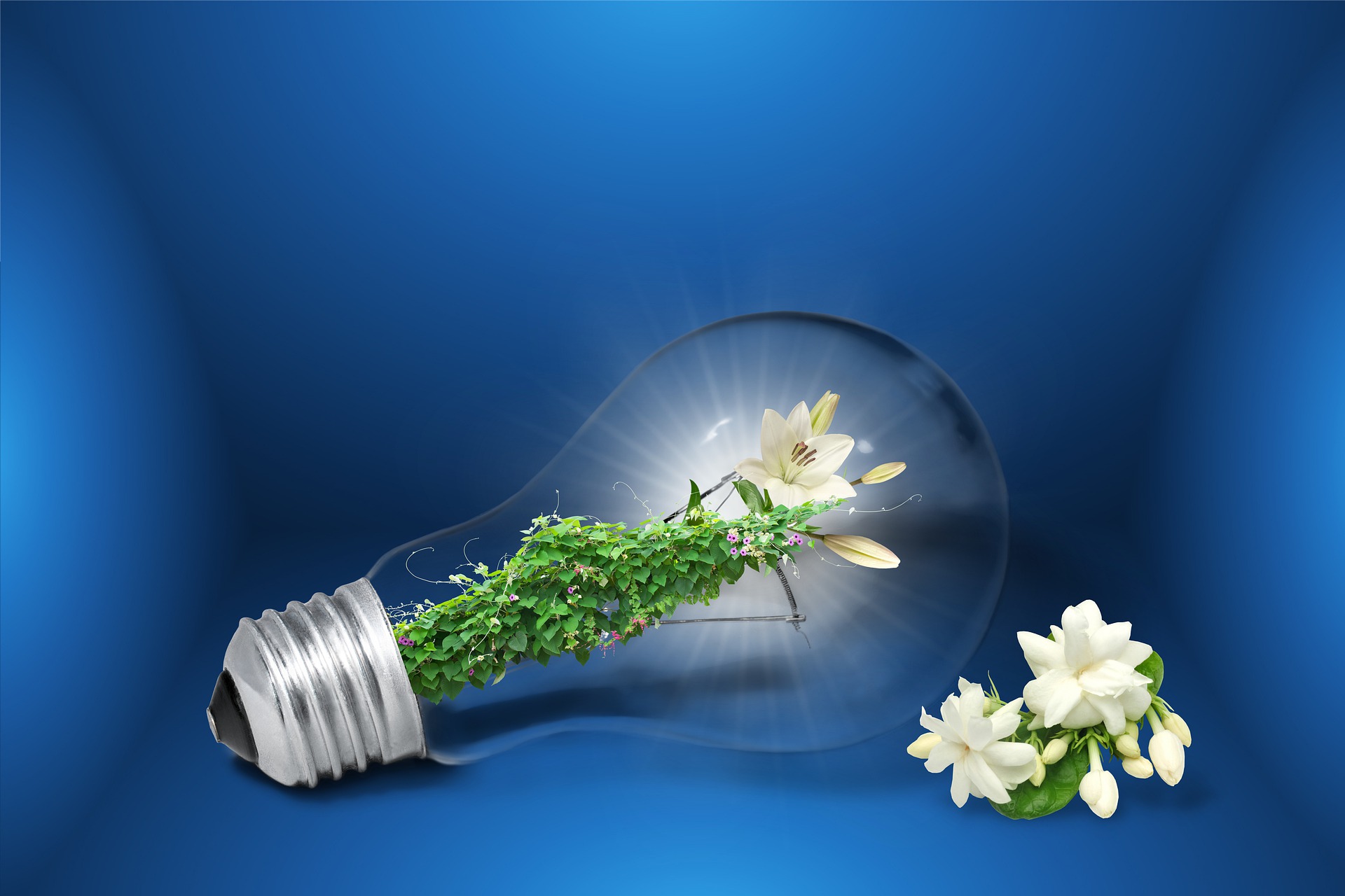 BJB lives sustainability