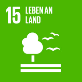 15 - Leben an Land